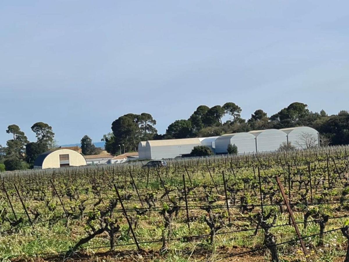 Ch Chevalier, Domaine De La Serre Saint-Thibéry Εξωτερικό φωτογραφία